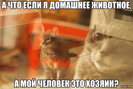 Найцікавіші історії