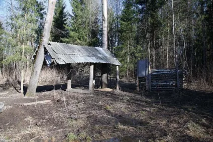 українська полювання і бізнес український мисливський журнал (полювання) українська полювання і бізнес український мисливський журнал