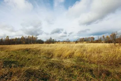 українська полювання і бізнес український мисливський журнал (наших кліматичних умовах) українська полювання і бізнес український мисливський журнал