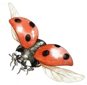 Символ успіху, світ успіху і щастя