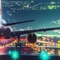 Сонник абрикоси, до чого сняться абрикоси на дереві (чого) Сонник абрикоси, до чого сняться абрикоси на дереві