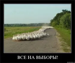 Твір на тему вибори