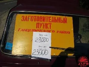 Скільки можна заробити за сезон на зборі чорниці