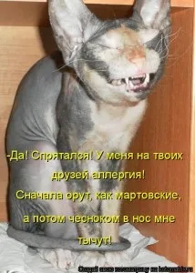 Сховатися від банку, газета для боржника (сховатися від банку) Сховатися від банку, газета для боржника