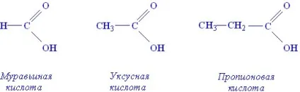 Структурні компоненти ліпідів