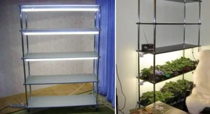 Стелажі і полки для фіалок своїми руками (стелажі) Стелажі і полки для фіалок своїми руками