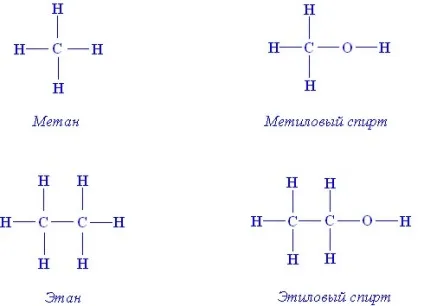 Структурні компоненти ліпідів