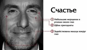 Теорія брехні як зрозуміти, що людина бреше, psylibro (як визначити брехню) Теорія брехні як зрозуміти, що людина бреше, psylibro