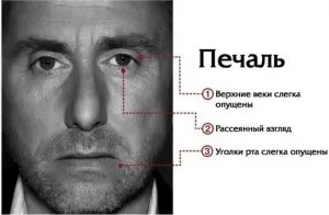 Теорія брехні як зрозуміти, що людина бреше, psylibro (психологія брехні жести) Теорія брехні як зрозуміти, що людина бреше, psylibro
