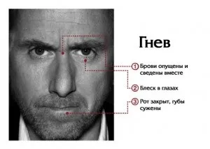 Теорія брехні як зрозуміти, що людина бреше, psylibro (як визначити брехню по жестам) Теорія брехні як зрозуміти, що людина бреше, psylibro