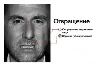 Теорія брехні як зрозуміти, що людина бреше, psylibro (як зрозуміти чи бреше людина) Теорія брехні як зрозуміти, що людина бреше, psylibro