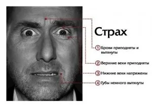 Теорія брехні як зрозуміти, що людина бреше, psylibro (як визначити брехню) Теорія брехні як зрозуміти, що людина бреше, psylibro