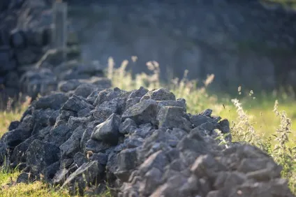Тест на уважність «знайди кота» (тест) Тест на уважність «знайди кота»