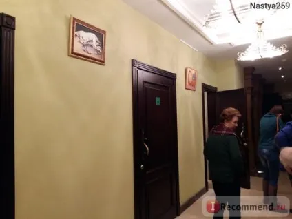 Театр кішок Куклачова, Київ - «мої враження від новорічної вистави - зимова казка - (кішок) Театр кішок Куклачова, Київ - «мої враження від новорічної вистави - зимова казка -