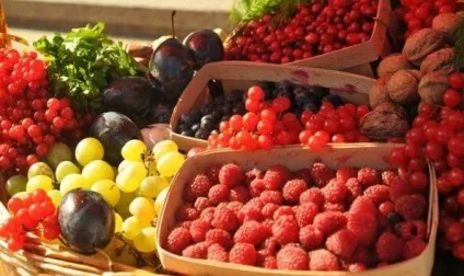 Три простих рецепта засолювання гострого перцю, огірків і помідорів, село моя (банку) Три простих рецепта засолювання гострого перцю, огірків і помідорів, село моя