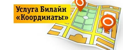 Послуга билайн «координати»