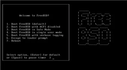 Установка freebsd справжня система (установка) Установка freebsd справжня система