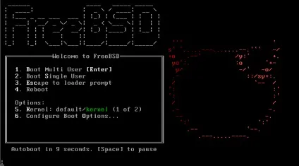 Установка freebsd 10 за пару хвилин (покрокова установка) (установка) Установка freebsd 10 за пару хвилин (покрокова установка)