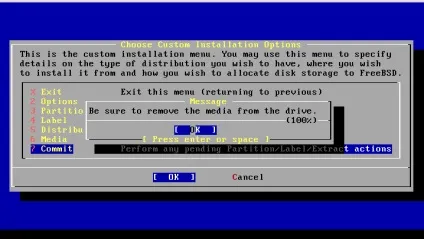 Установка freebsd справжня система (freebsd) Установка freebsd справжня система