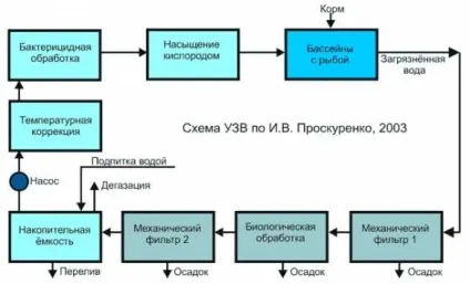 Пристрій проточного басейнового комплексу для розведення риби (проточний комплекс) Пристрій проточного басейнового комплексу для розведення риби