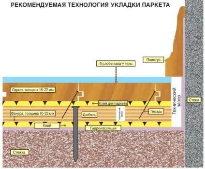 Укладання паркету на фанеру як правильно укласти покриття (правильно) Укладання паркету на фанеру як правильно укласти покриття