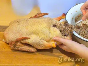 Качка запечена з гречкою - покроковий рецепт з фото