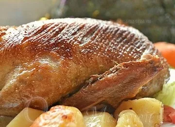Качка в рукаві в духовці, рецепт з фото (духовці) Качка в рукаві в духовці, рецепт з фото