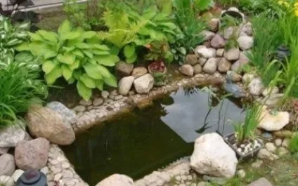 Ванна на садовій ділянці потрібна або чи ні (судовому) Ванна на садовій ділянці потрібна або чи ні