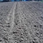 Саморобний плуг на мтз 80 - креслення, відео та фото споруди своїми руками (плуг) Саморобний плуг на мтз 80 - креслення, відео та фото споруди своїми руками