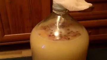 Самогон з пива