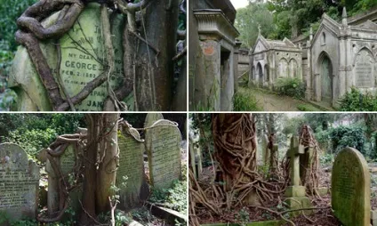 Найстрашніші кладовища і могили - фото, реальні історії, легенди, повір'я (реальні) Найстрашніші кладовища і могили - фото, реальні історії, легенди, повір'я