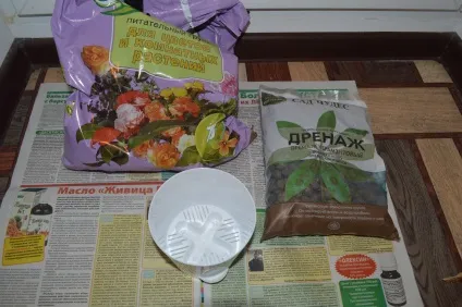 Сансевієрія пересадка інструкція з фото, як пересадити щучий хвіст (пересадити) Сансевієрія пересадка інструкція з фото, як пересадити щучий хвіст