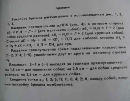 Самостійна побудова викрійок для собак (побудова) Самостійна побудова викрійок для собак