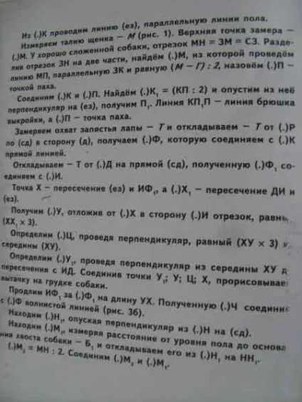 Самостійна побудова викрійок для собак (побудова) Самостійна побудова викрійок для собак