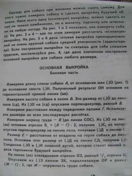 Самостійна побудова викрійок для собак (собак) Самостійна побудова викрійок для собак