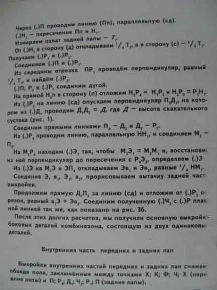 Самостійна побудова викрійок для собак (собак) Самостійна побудова викрійок для собак