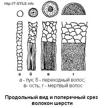 волокно вовни