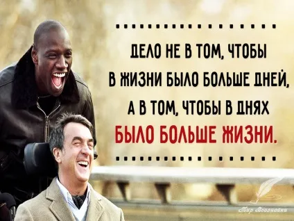 Винний маринад для курки