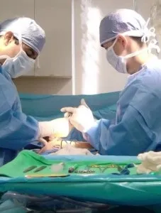 Хірургічне лікування гіпергідрозу види операцій (хірургічне) Хірургічне лікування гіпергідрозу види операцій