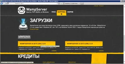 Wampserver як встановити та налаштувати (wampserver) Wampserver як встановити та налаштувати