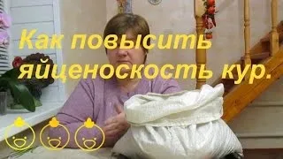 Змова, щоб кури неслися кожен день (кожен) Змова, щоб кури неслися кожен день