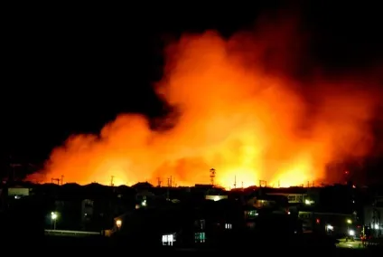 Землетрус і цунамі в Японії (технології) Землетрус і цунамі в Японії