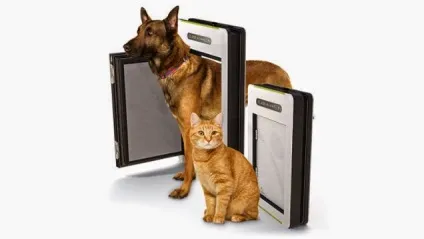 10 гаджетів для собак, різноманіття дизайну (Microchip Activated Petfeeder) 10 гаджетів для собак, різноманіття дизайну