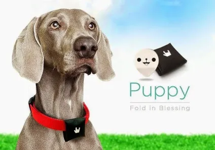 10 гаджетів для собак, різноманіття дизайну (Microchip Activated Petfeeder) 10 гаджетів для собак, різноманіття дизайну