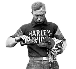 13 Цікавих фактів про harley-davidson, публікації, навколо світу (світла) 13 Цікавих фактів про harley-davidson, публікації, навколо світу