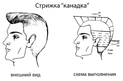 5 Причин вибрати стрижку канадка то що підкреслить чоловіка в чоловікові - haircutmen (канадка) 5 Причин вибрати стрижку канадка то що підкреслить чоловіка в чоловікові - haircutmen