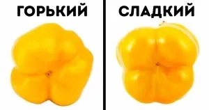 9 Речей, які категорично не можна забороняти дитині (поясніть дитині чому) 9 Речей, які категорично не можна забороняти дитині