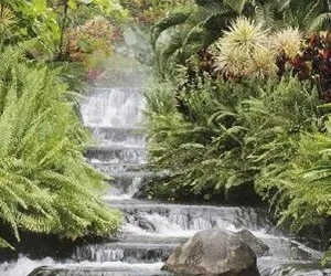 Абано термі - райський куточок для цінителів spa курортів (термі) Абано термі - райський куточок для цінителів spa курортів