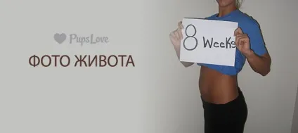 8 Тиждень вагітності - фото живота, розмір плоду, харчування та поради (стан плода на другому місяці вагітності) 8 Тиждень вагітності - фото живота, розмір плоду, харчування та поради