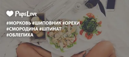 8 Тиждень вагітності - фото живота, розмір плоду, харчування та поради (восьмий тиждень вагітності) 8 Тиждень вагітності - фото живота, розмір плоду, харчування та поради
